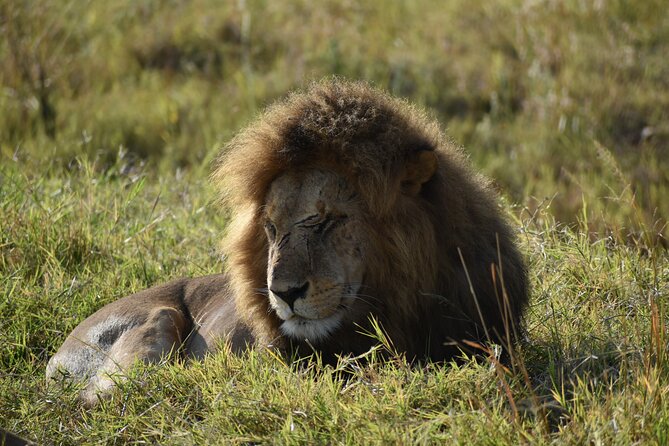 06 Days Kenya LuxuryLodge Safari - Key points at a glance