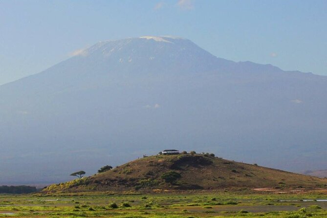 1-Day Amboseli Safari - Elephant families and the game-viewing drive