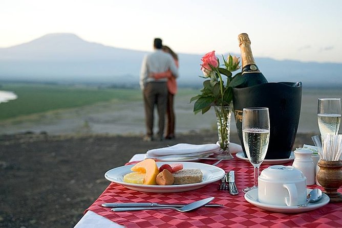 1-Day Amboseli Safari - Lunch, water, and the practical comforts