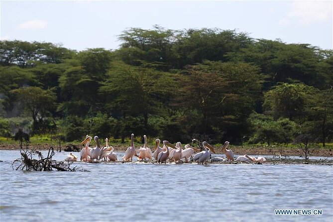 1 Day Bike Tour to Hell’s Gate And Lake Naivasha - Lunch around 1:00 pm in Naivasha
