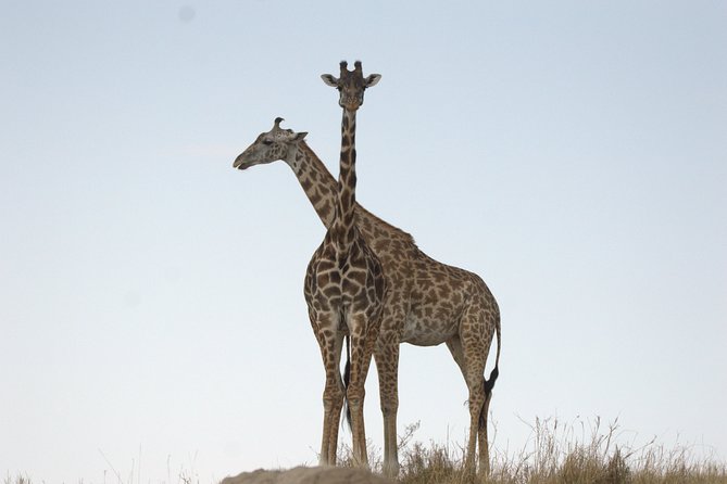 1 Day Hells Gate Biking Safari - The 7:00 am departure from Nairobi