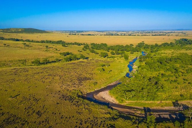 1-Day Maasai Mara Safari - A Mara River picnic with hippos and crocodiles