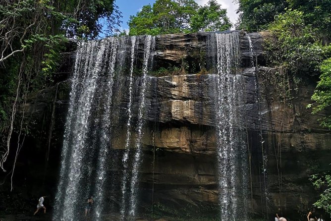 1 day Shimba hills - Key points to know before booking