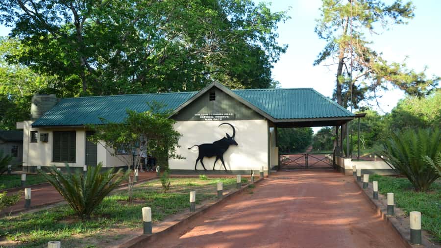 1 day Shimba Hills Tour - Why Shimba Hills feels different from a standard safari
