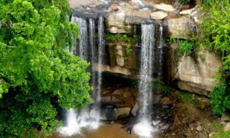 1 day Shimba Hills Tour - The early drive from Diani or Mombasa