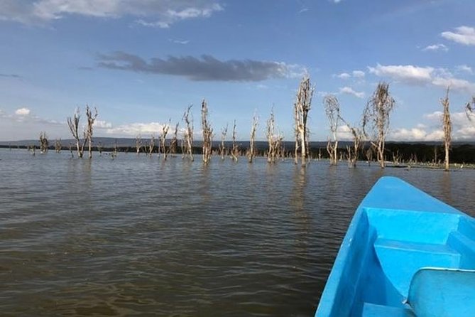 1 Day trip to Hells Gate and Lake Naivasha From Nairobi - Lake Naivasha and the Optional Boat Ride