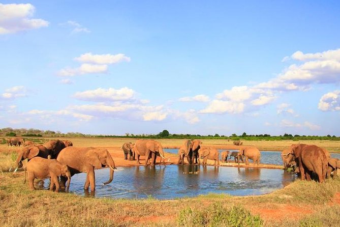 1-Day Tsavo East Safari From Mombasa - Why Tsavo East works for a short coastal stay