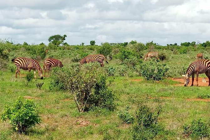 1 Day Tsavo East Safari ( Minimum 2 Pax) - Lunch above the Tsavo plains