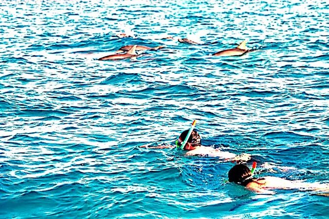 1 day wasini island ( Kisite Marine park) - Is $160 a fair price?