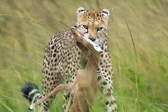 10-Day Private Tour in Big Five Safari and Beaches - Days 5 and 6: Tsavo’s red elephants and open country