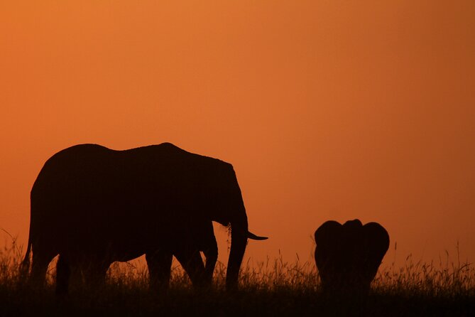 10 -Days Best of Kenya and Tanzania Classic Safari - Amboseli and the Kilimanjaro backdrop