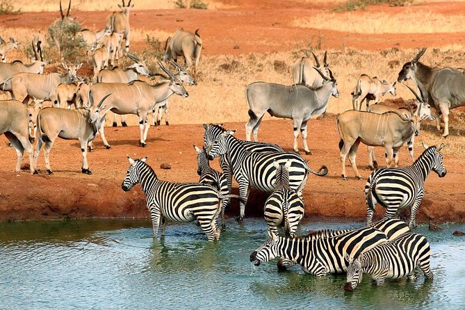 10-Days Kenya Wildlife Private Safari and Mombasa Diani Beach Holidays - From Nairobi to the Great Rift Valley