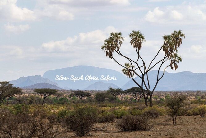 11-Day Serengeti, Maasai Mara, Tarangire, Amboseli Park - Days 1 and 2: Maasai Mara and the Great Migration Country
