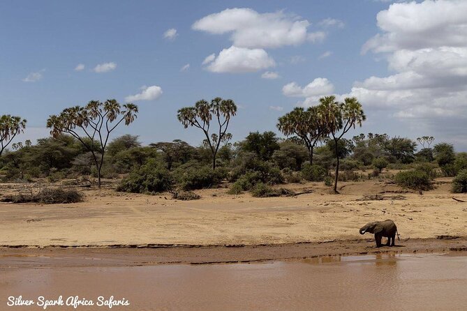 11-Day Serengeti, Maasai Mara, Tarangire, Amboseli Park - Day 4: Lake Elementaita, a Walk, and a Hot-Spring Stop