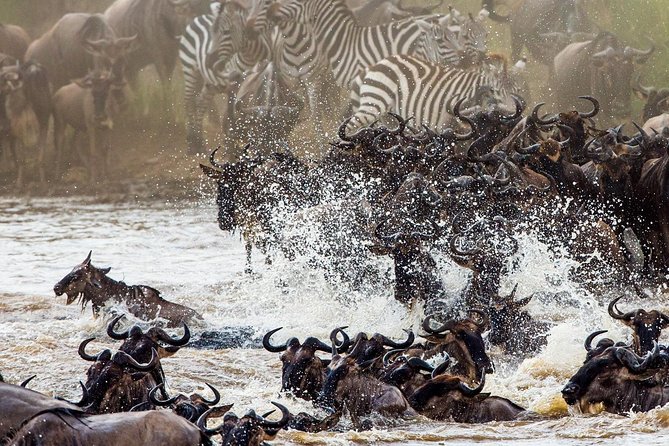 11-Days Best of Kenya & Tanzania Big 5 Safari on a 4x4 Jeep - At a glance: the details that matter most