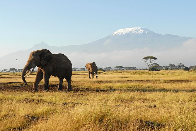 11-Days Best of Kenya & Tanzania Big 5 Safari on a 4x4 Jeep - Day 3: Hell’s Gate and an evening on Lake Naivasha