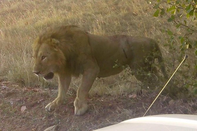 11 Days Guided Group Safari in Kenya And Tanzania - Lake Nakuru brings rhinos and birdlife