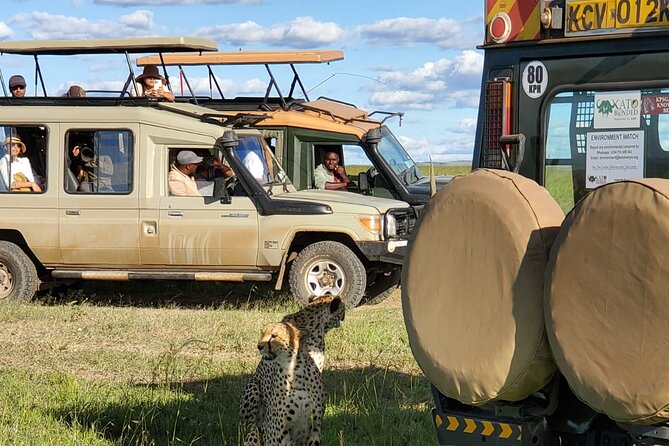 11 Days Private Tour to Explore Amboseli and Samburu - Why this route works for a first Kenya safari