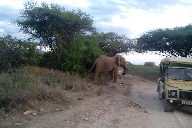 12 Days Kenya and Tanzania Budget Private Safari from Nairobi - What this 12-day route is really like