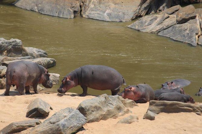 12 Days Kenya and Tanzania Budget Private Safari from Nairobi - Day 2: Rift Valley views, Hell’s Gate, and Lake Naivasha
