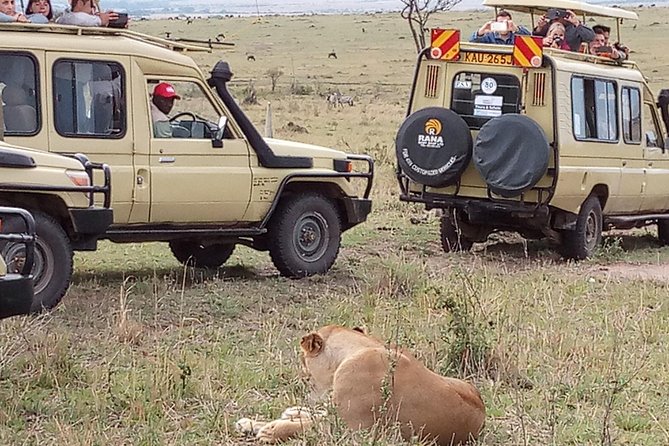12 Days Kenya and Tanzania Budget Private Safari from Nairobi - Day 7: A full day across the Serengeti plains