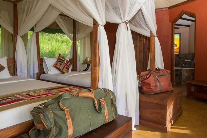 12 days Kenya and Tanzania safari private lodge from Nairobi - Days 4 and 5: two very different looks at Maasai Mara
