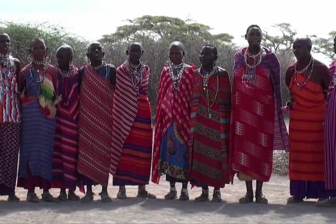 12 days Kenya and Tanzania safari private lodge from Nairobi - Day 8: Ngorongoro Crater and one concentrated game drive