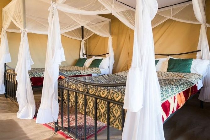 12 Days Kenya & Tanzania Safari Private Lodge Safari from Nairobi - Day 7: Open Serengeti plains and the Seronera area