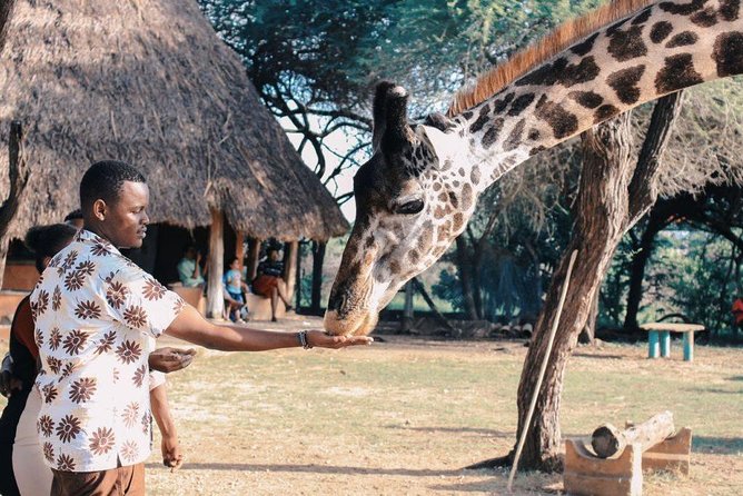 12 Days Kenya Tanzania wildlife Joining Tour - Lake Nakuru changes the pace