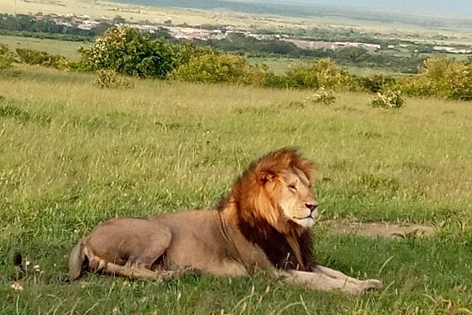 12 Days wildebeest migration Masai Mara Nakuru Uganda gorilla trekking safari - Days 7 and 8: Lake Bunyonyi and Batwa culture