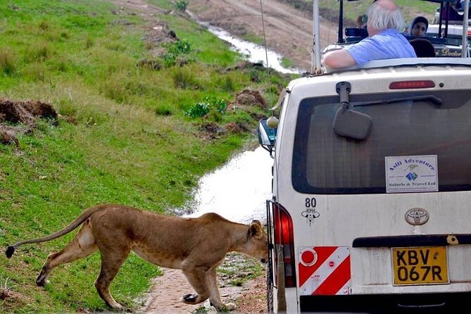 13-Day Private Wildlife Safari Tour of Kenya and Tanzania - The Maasai Mara: two full days in predator country