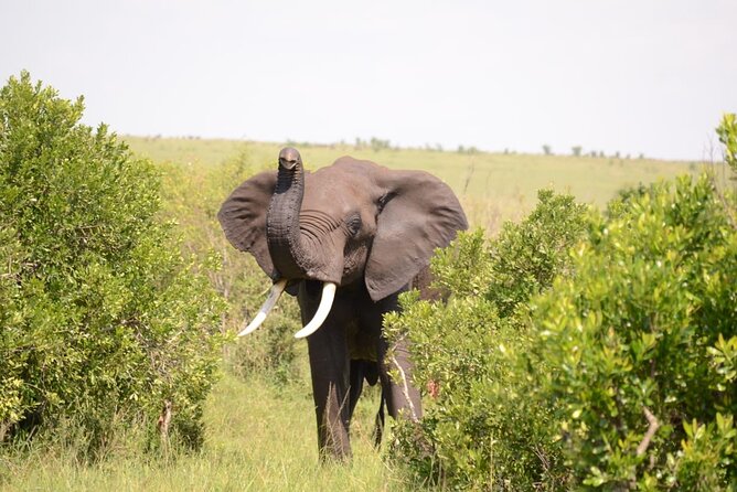 13-Day Private Wildlife Safari Tour of Kenya and Tanzania - Olduvai Gorge: a useful change from game viewing