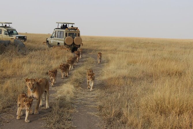 13-Day Private Wildlife Safari Tour of Kenya and Tanzania - Lake Nakuru: rhinos, birds, and a shorter park visit