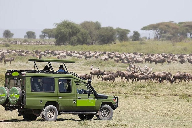 14-Days Kenya and Tanzania Camping Safari from Nairobi - What this 14-day route really delivers