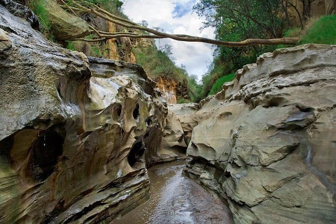 15 Days Classic Kenya & Tanzania + Zanzibar Beach Holiday - Lake Naivasha, Hell’s Gate, and Crescent Island