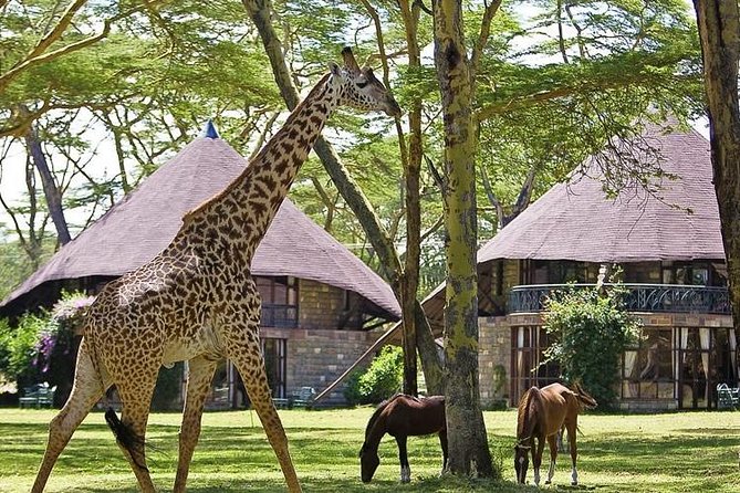 15 Days Classic Kenya & Tanzania + Zanzibar Beach Holiday - Crossing from Kenya into the Serengeti