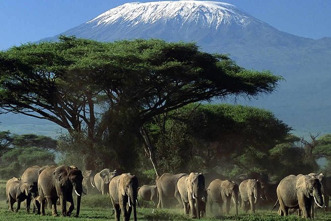 2-Day Amboseli National Park Safari- Daily Departures - The overnight camp and nighttime atmosphere