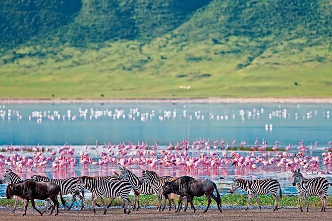 2-Day Hell's Gate, Crescent Island and Nakuru - Private Safari - Key points at a glance