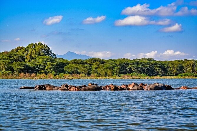 2-Day Hell's Gate, Crescent Island and Nakuru - Private Safari - Who will enjoy this two-day plan most