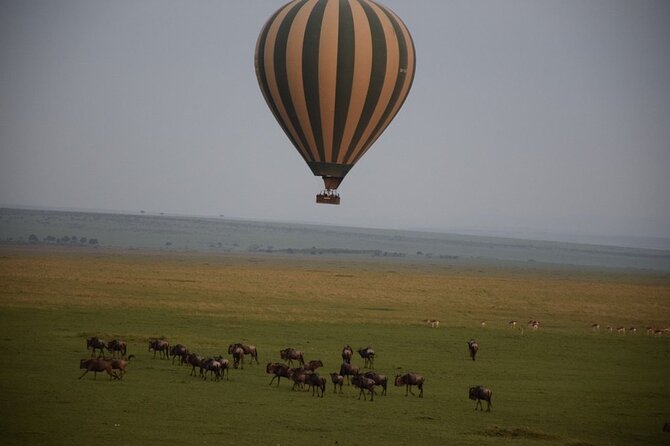 2-Day Private Tour in Masai Mara with Pick Up - Game drives across the Mara