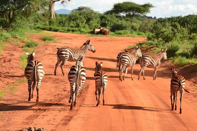 2-Day Private Tour in Tsavo East - The 7:00 a.m. pickup and highway journey