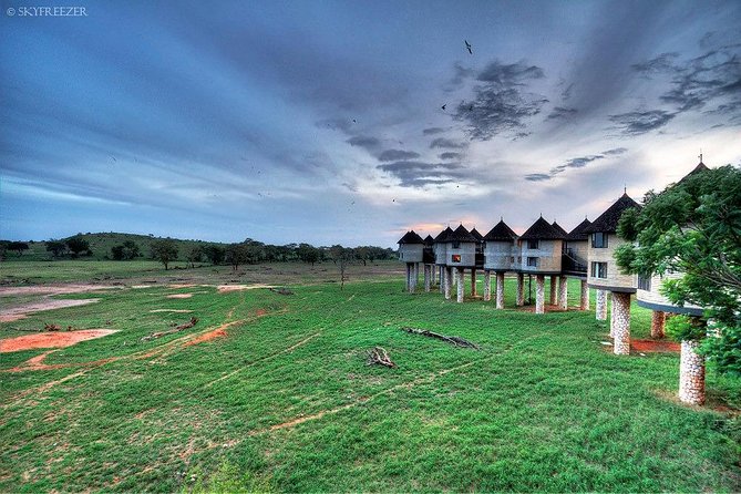 2-Day Safari in Taita Hills from Mombasa - Why Salt Lick Lodge makes this safari different