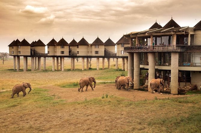 2-Day Safari in Taita Hills from Mombasa - What animals can you expect to see?