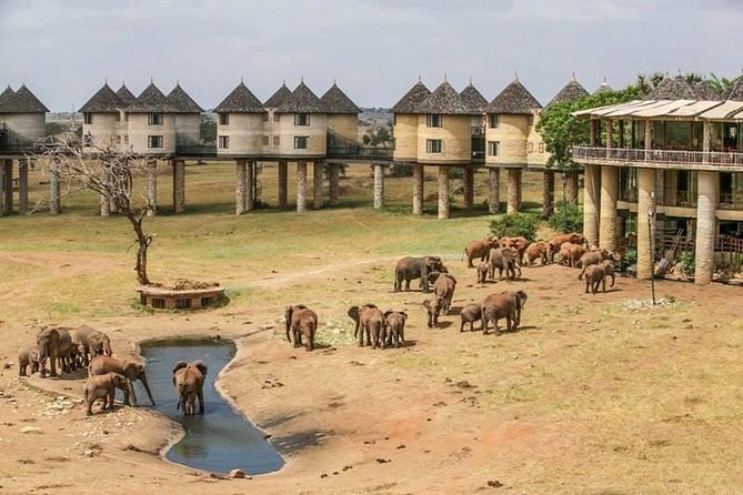 2-Day Safari in Taita Hills from Mombasa - Ngutuni Sanctuary and lunch above the waterhole