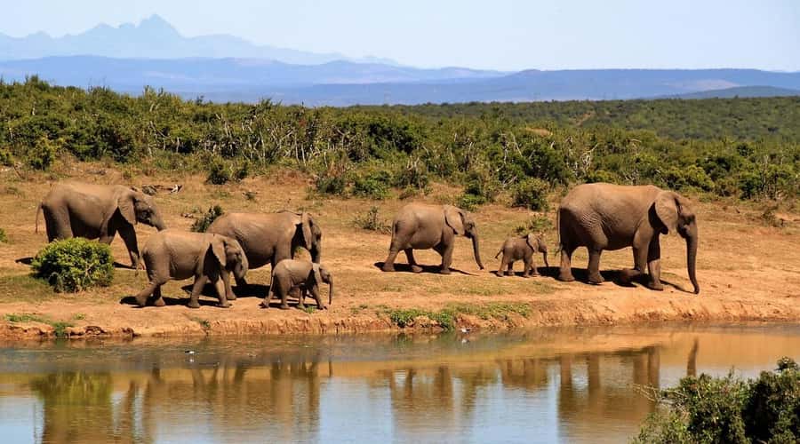 2-Day Tsavo East National Park Safari (with options) - Vehicle comfort and the private-group choice