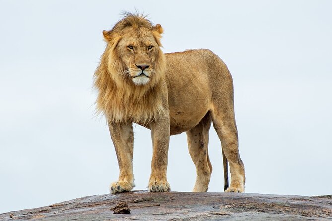 2-Day Tsavo East Private Tour - Key points to know before booking