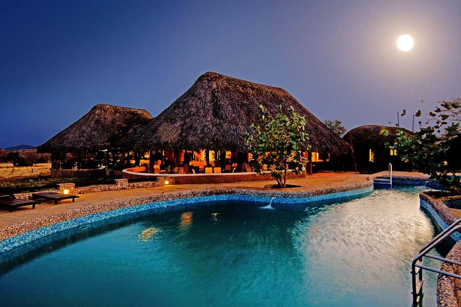 2 Days 1 Night Amboseli Safari - The afternoon game drive and Amboseli’s wildlife
