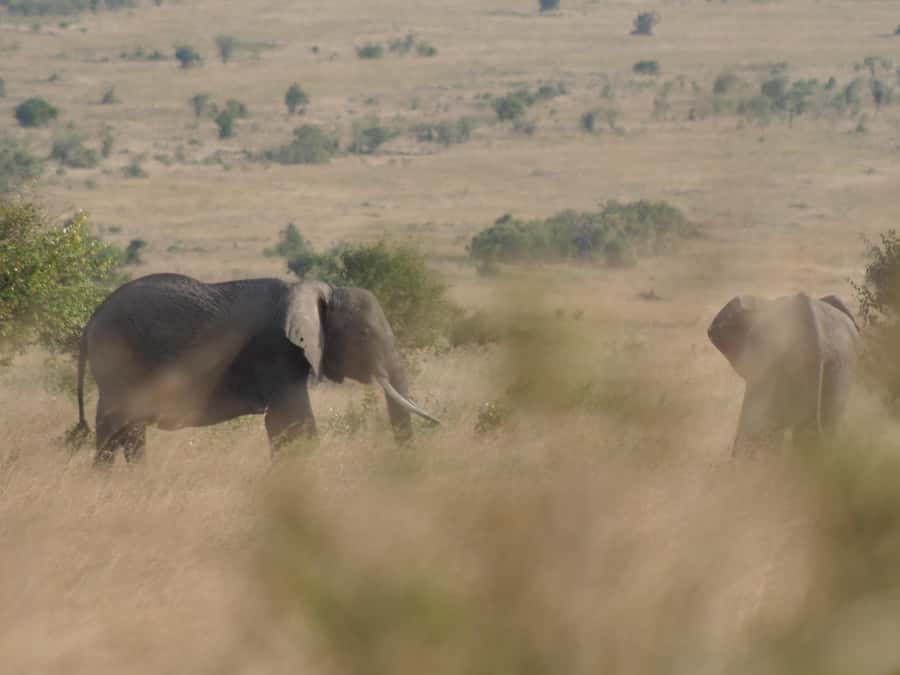 2 Days 1 Night Amboseli Safari - The overnight stay: lodge comfort matters