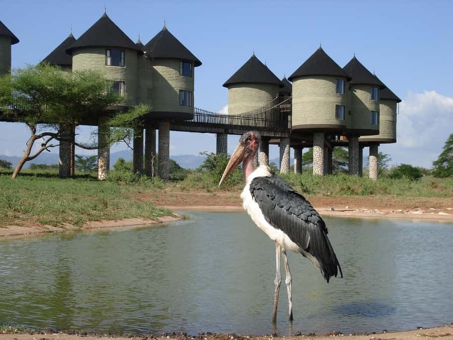 2 days 1 night saltlick safari from Diani/Mombasa - Booking details worth checking