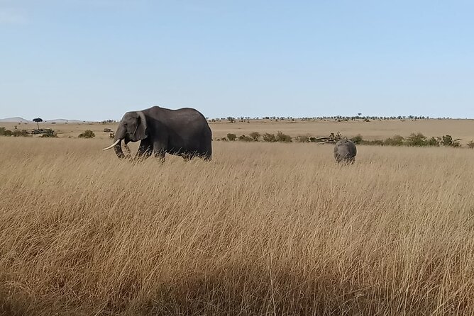 2 Days Adventurous Safari in Amboseli (Mid Range Tour) - The full Amboseli day: wildlife, birds, and marshes